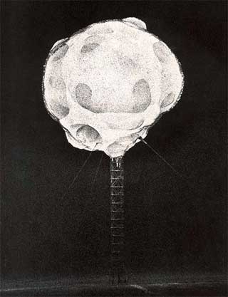 atomic bomb.jpg